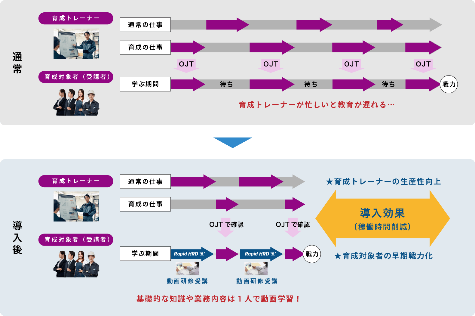 Rapid HRD 導入効果